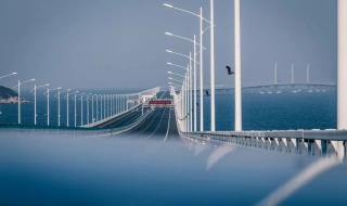 珠港澳大桥全长是多少 港珠澳大桥总长